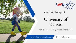 universidad de kansas becas carreras